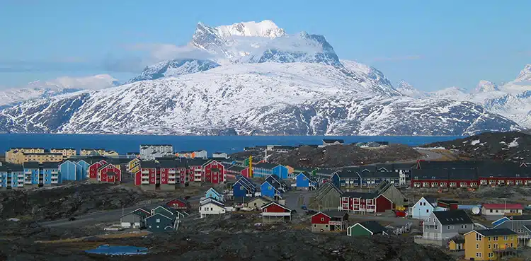 Fossilized Flowers From Greenland Reveal Prehistoric Landscape