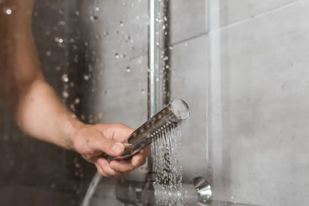 Hand held shower