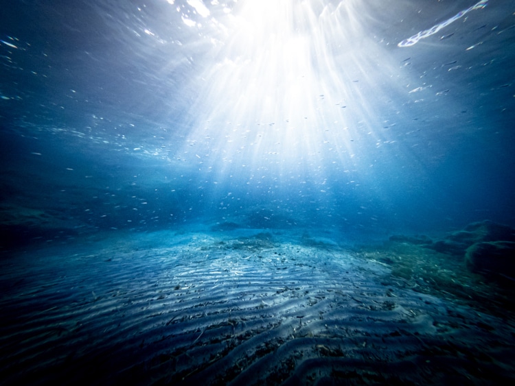 Underwater view of the seabed