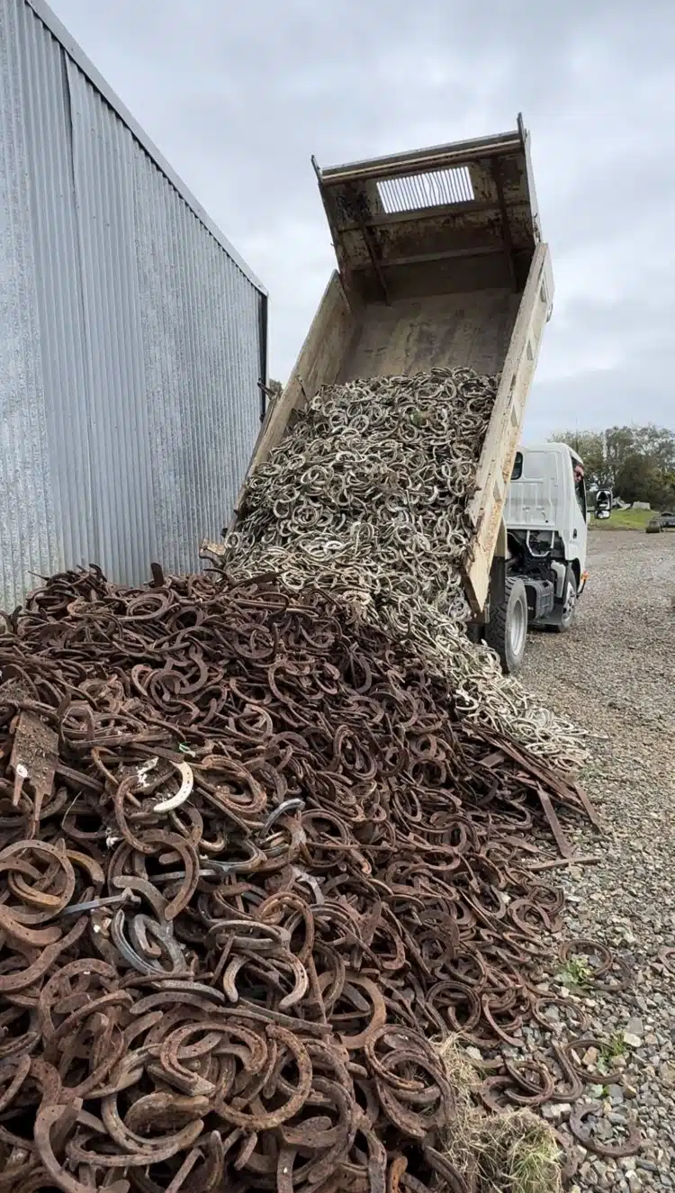 Used horseshoes being dumped out of a truck