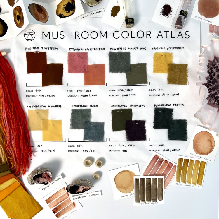 Mushroom color atlas