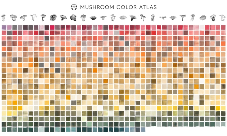 Mushroom color atlas