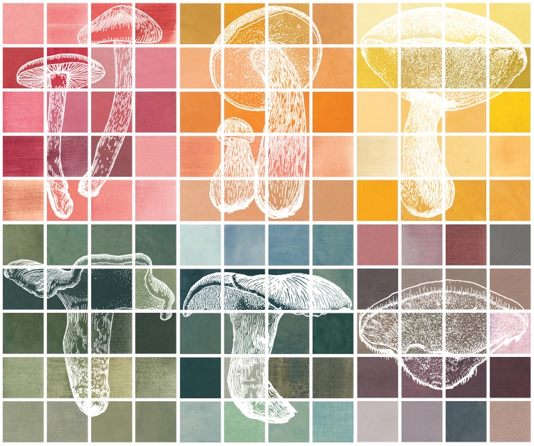 Mushroom color atlas