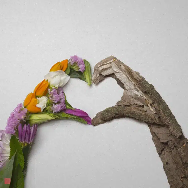 Heart hands made out of flowers by Raku Inoue