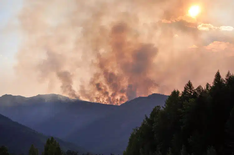 Wildfire over the mountains