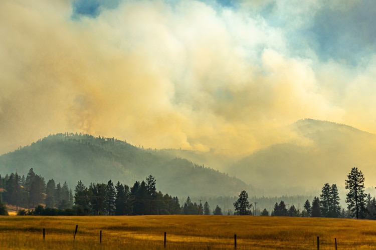 A breathtaking view of Montana's burning national forests and the huge smoke rising into the sky