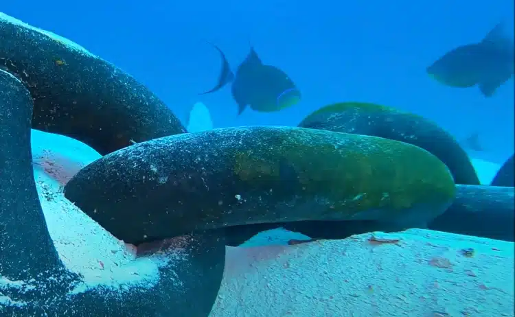 Anchor At Sea Bottom