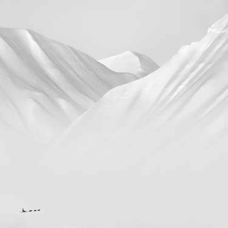 A lone musher with his dogs drives through the vast expanses of Spitsbergen.