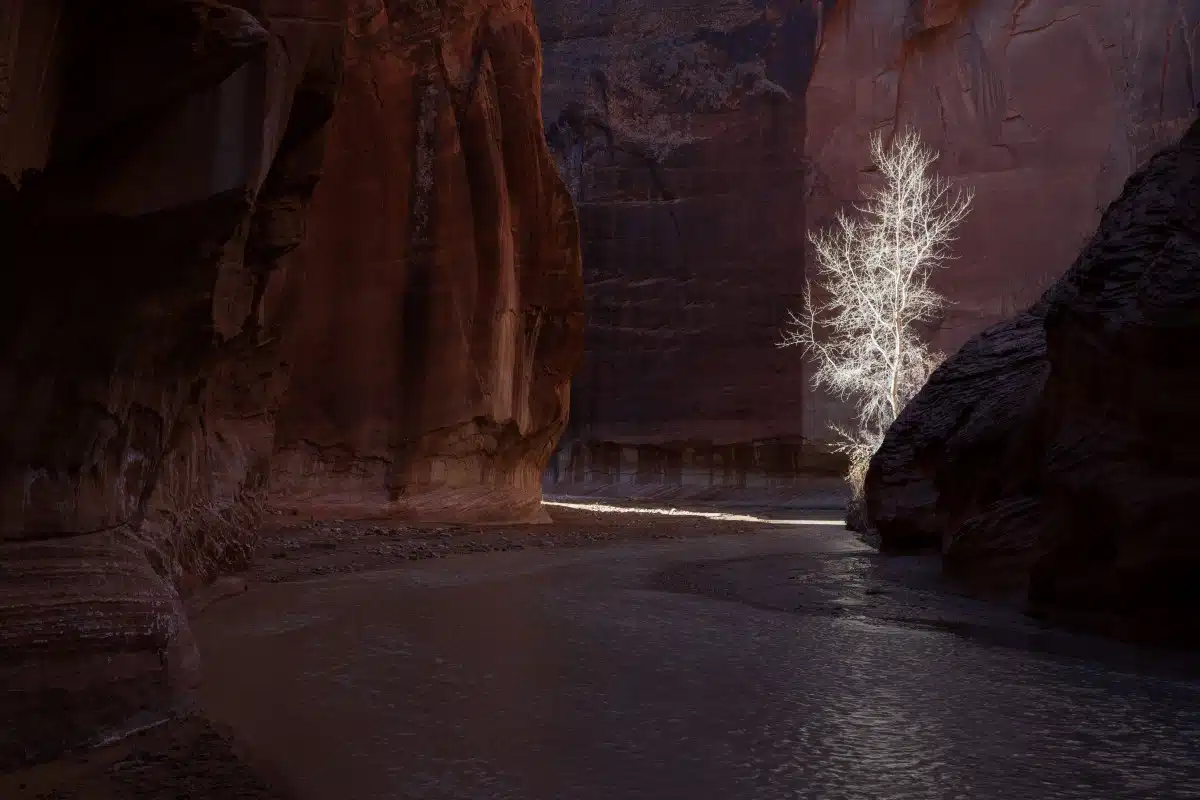 Remote canyon of the American southwest with light streaming through