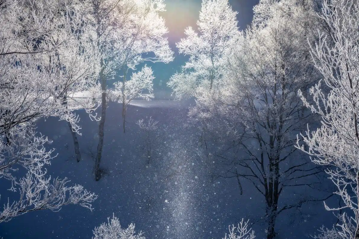 Icy trees over water in Nagano, Japan