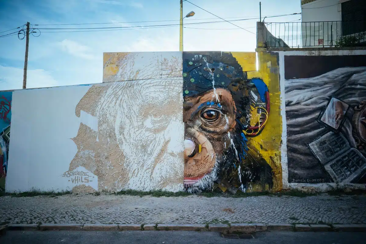 Vhils and Bordalo II mural in Lisbon