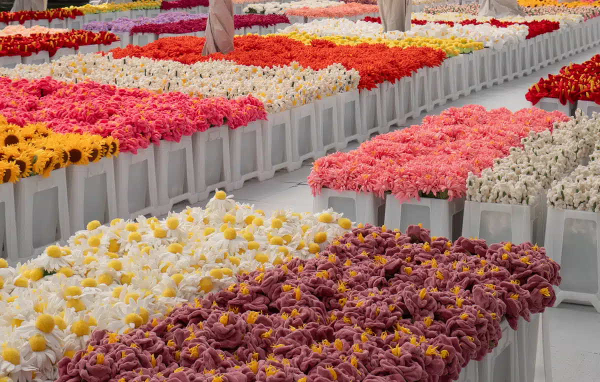 Flower market of Plush flowers by Cj hendry