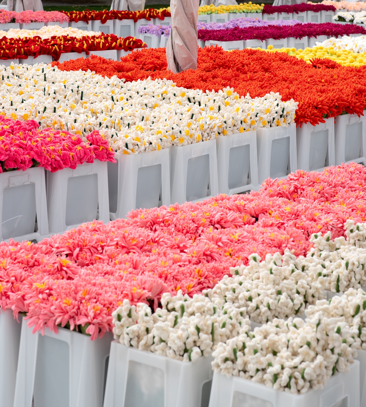 Flower market of Plush flowers by Cj hendry