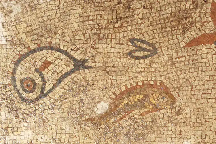 Roman Mosaic of Sealife Discovered in Wroxeter, England