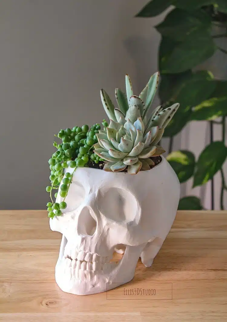 Skull Planter