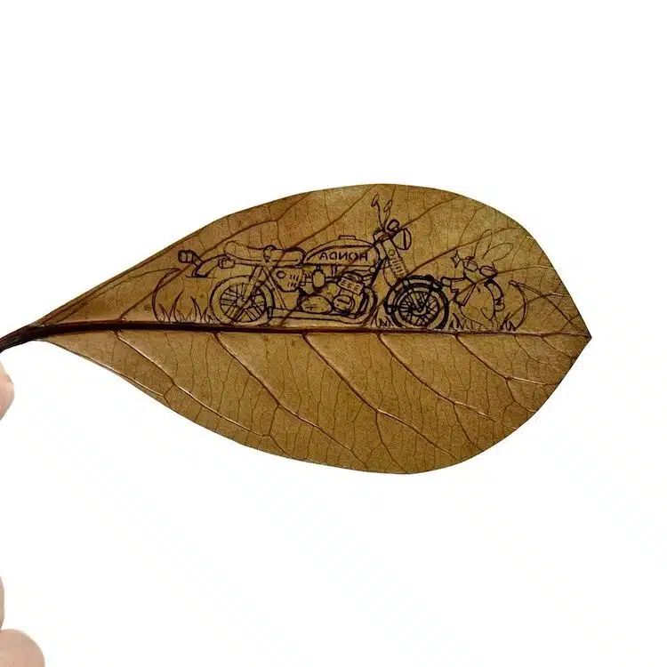 Leaf Art by Lito