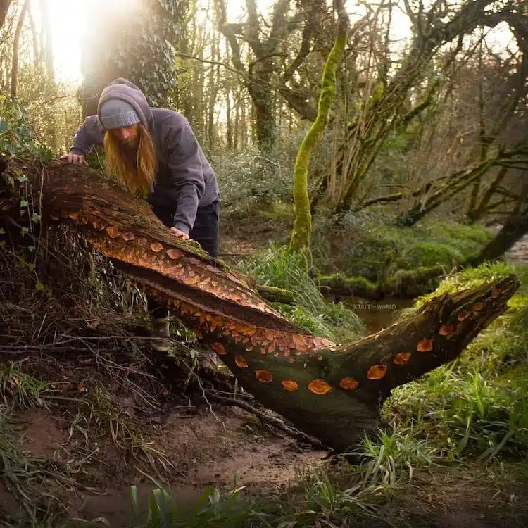 Land Art by Jon Foreman