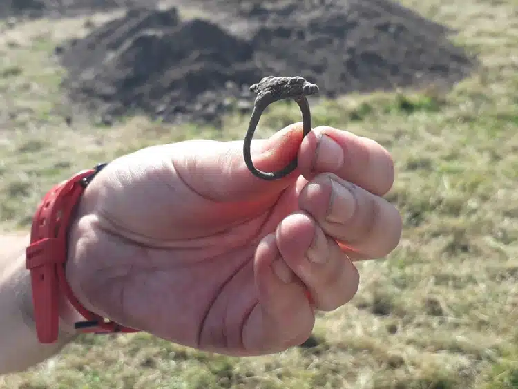 1,000-Year-Old Pictish Ring Discovered in Scotland