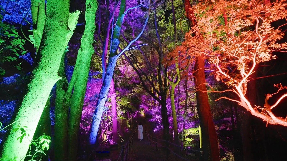 TeamLab’s ‘Hidden Traces of Rice Terraces’