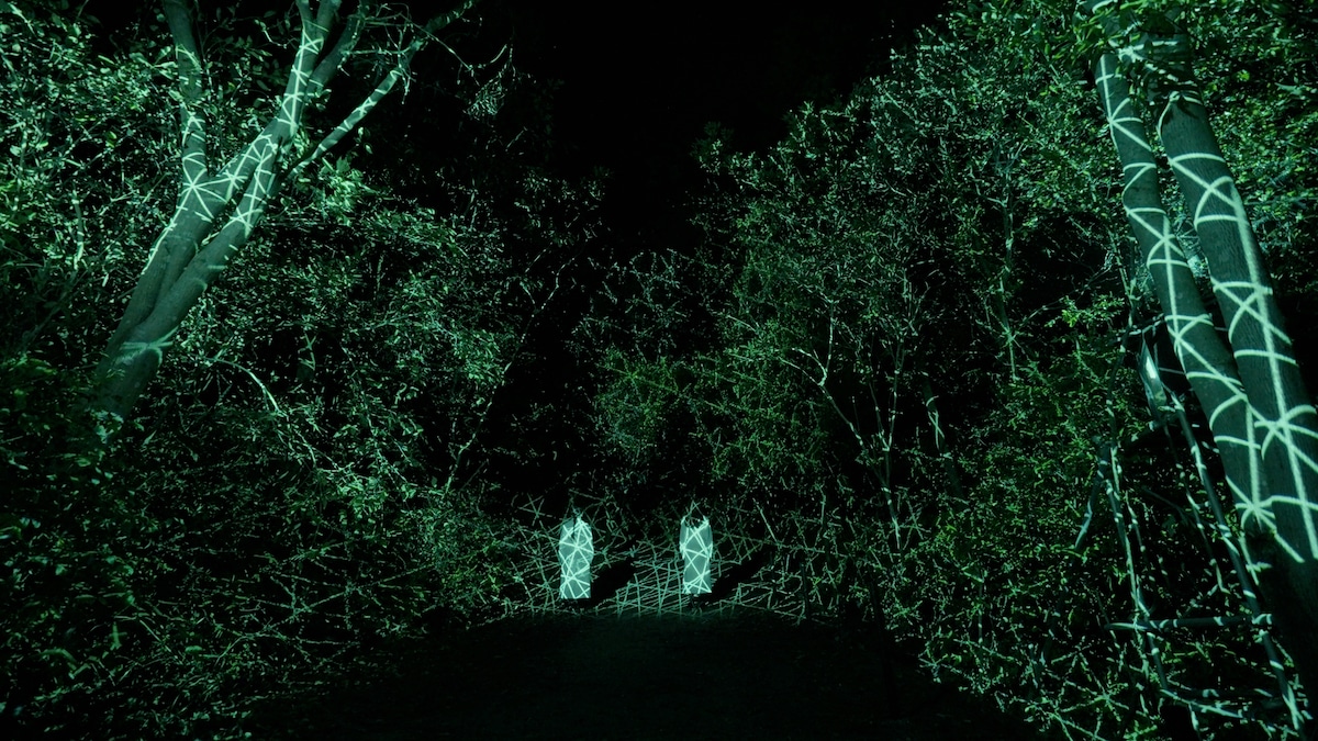 TeamLab’s ‘Hidden Traces of Rice Terraces’