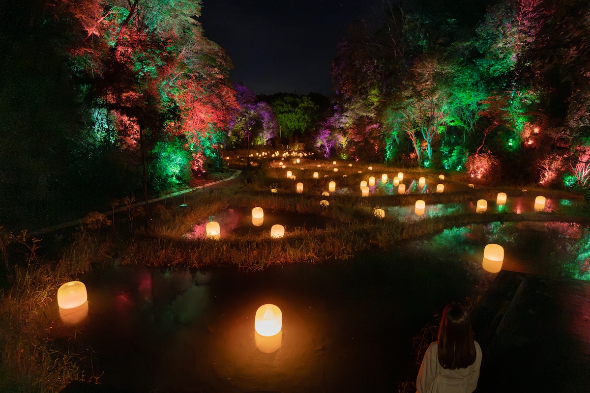 TeamLab’s ‘Hidden Traces of Rice Terraces’