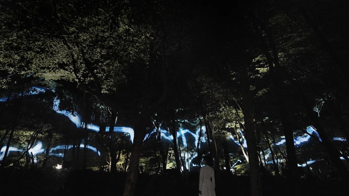 TeamLab’s ‘Hidden Traces of Rice Terraces’