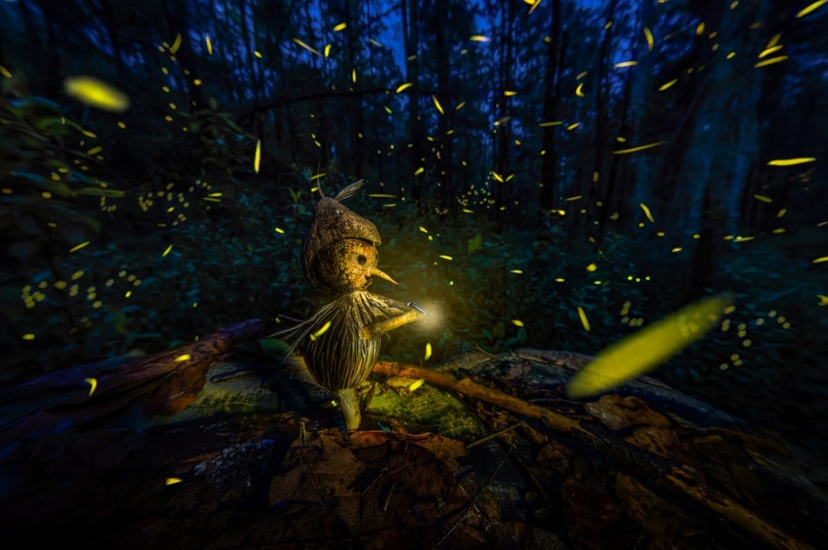 Creative photo with fireflies taken in the Magical Forest of Nanacamilpa, Mexico