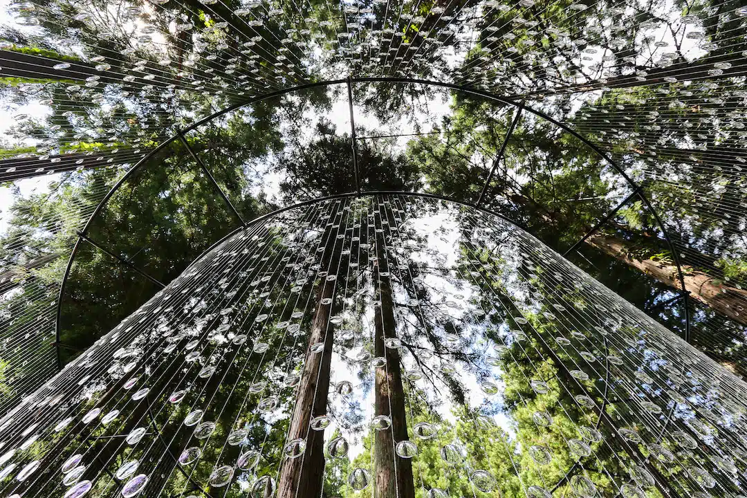 "A Whisper in the Eye of the Storm" by Caitlind r.c. Brown and Wayne Garrett, which uses 14,000 prescription lenses to create what looks like suspended rain drops.