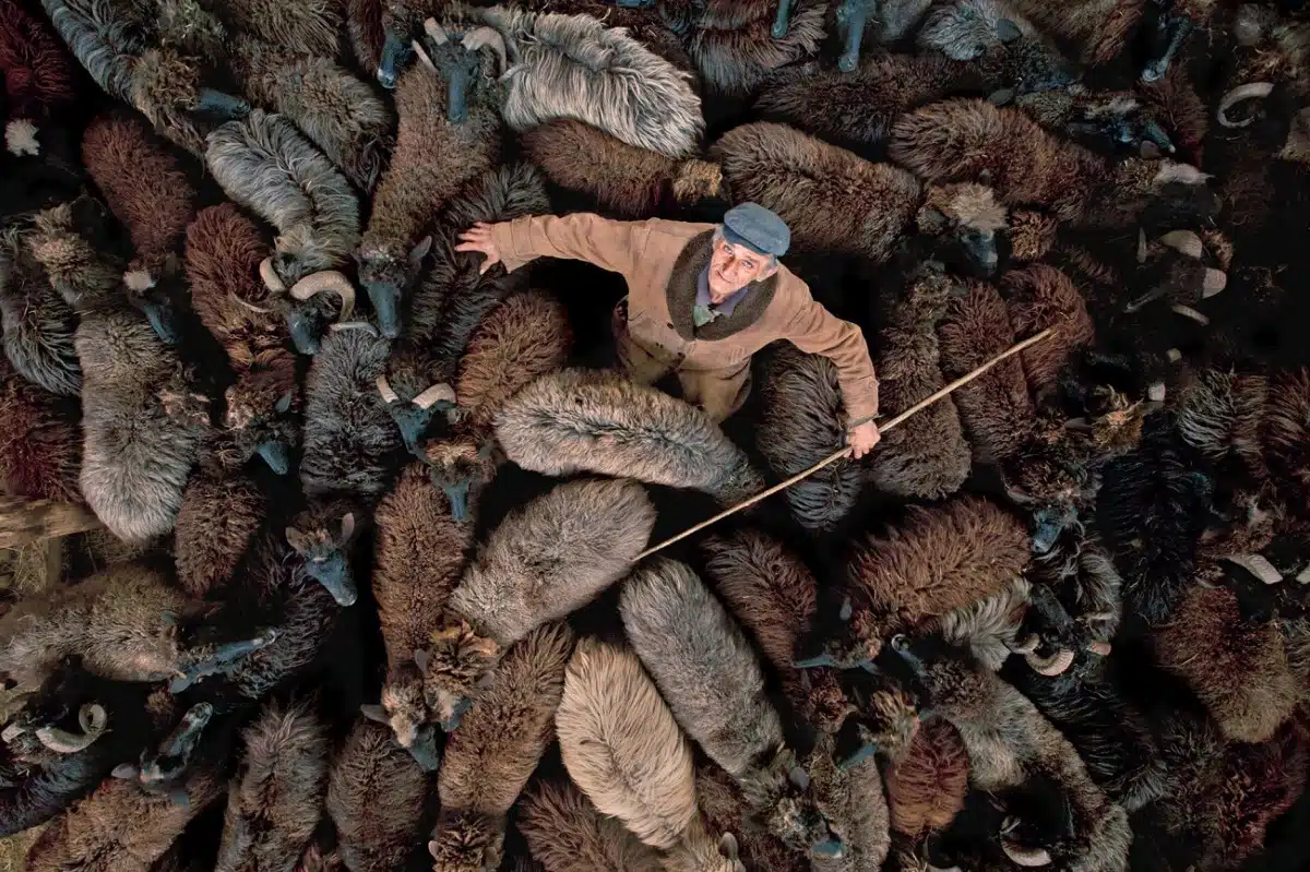 Shepherd Nikola poses with his small herd of the endangered Karakachani sheep breed