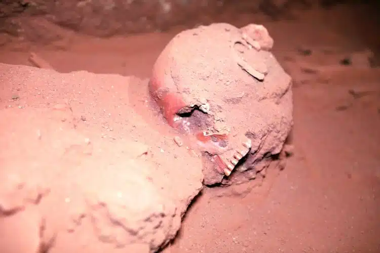 Skull of Nabatean buried beneath The Treasury of Petra