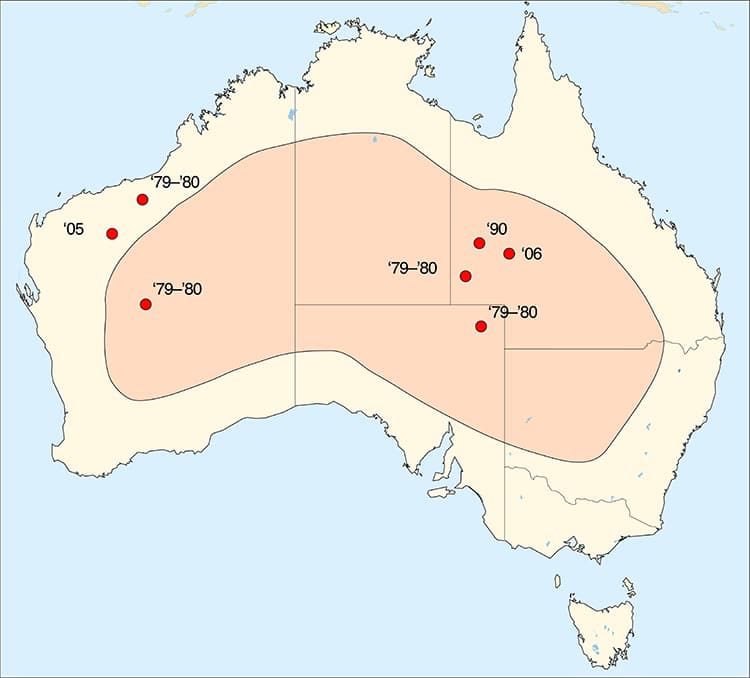 Indigenous Rangers and Researchers Find the Exceptional Night Parrot