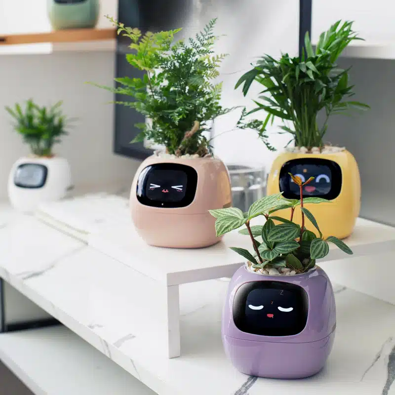 The Plantagotchi virtual pet planter