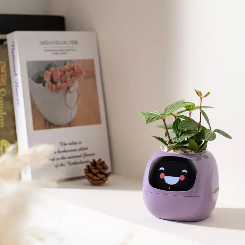 Plantagotchi Virtual Pet Planter