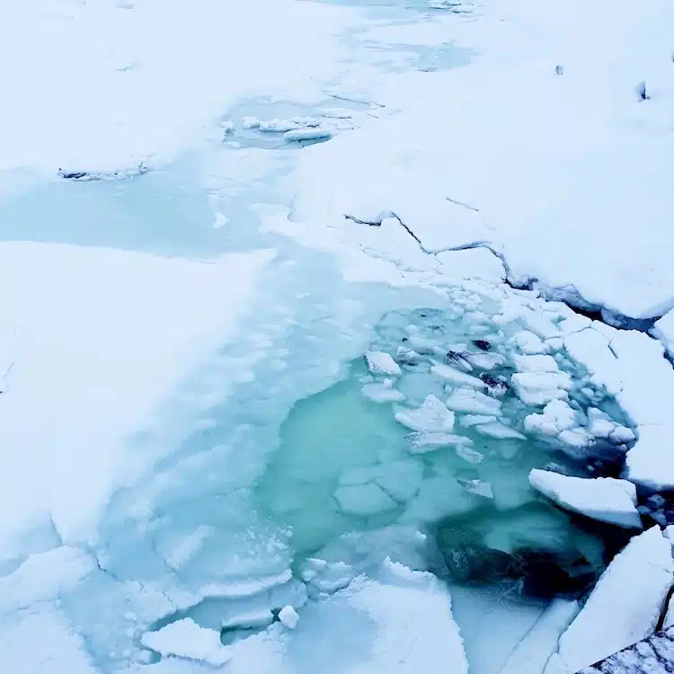 Real Ice Thickens Arctic Sea Ice