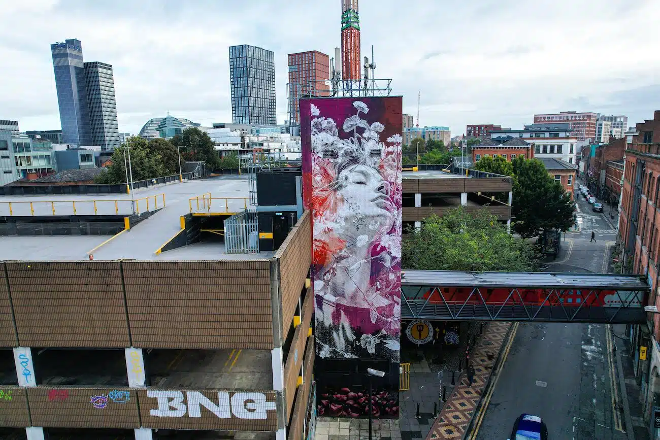 Still Life mural by SNIK