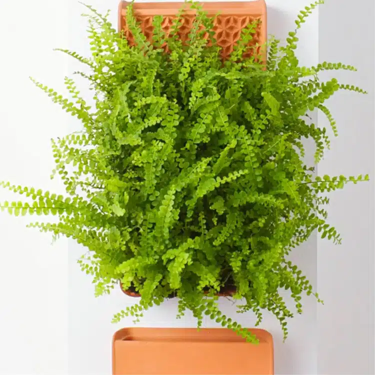 The TILE by tevaplanter, a vertical planter shaped and patterned like a tile