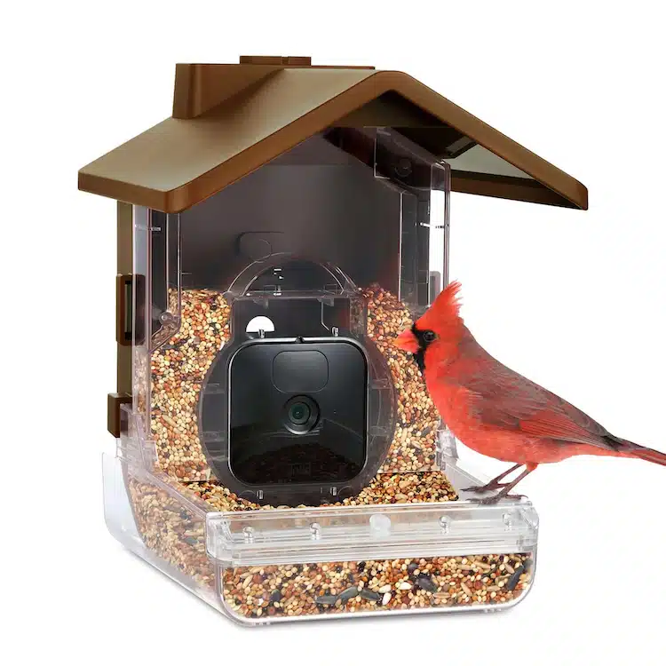 Wasserstein Bird Feeder Camera Case