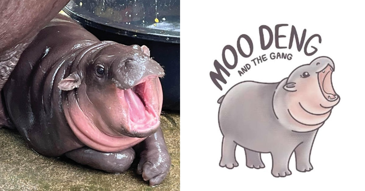 Moo Deng the Adorable Pygmy Hippo Officially Has Her Own Logo