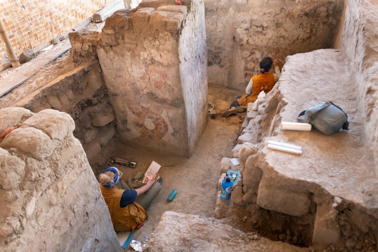 Panamarca archaeological site in the Ancash Region in Peru. DMNS paticipation in the excavation was led by Dr. Michele Koons.