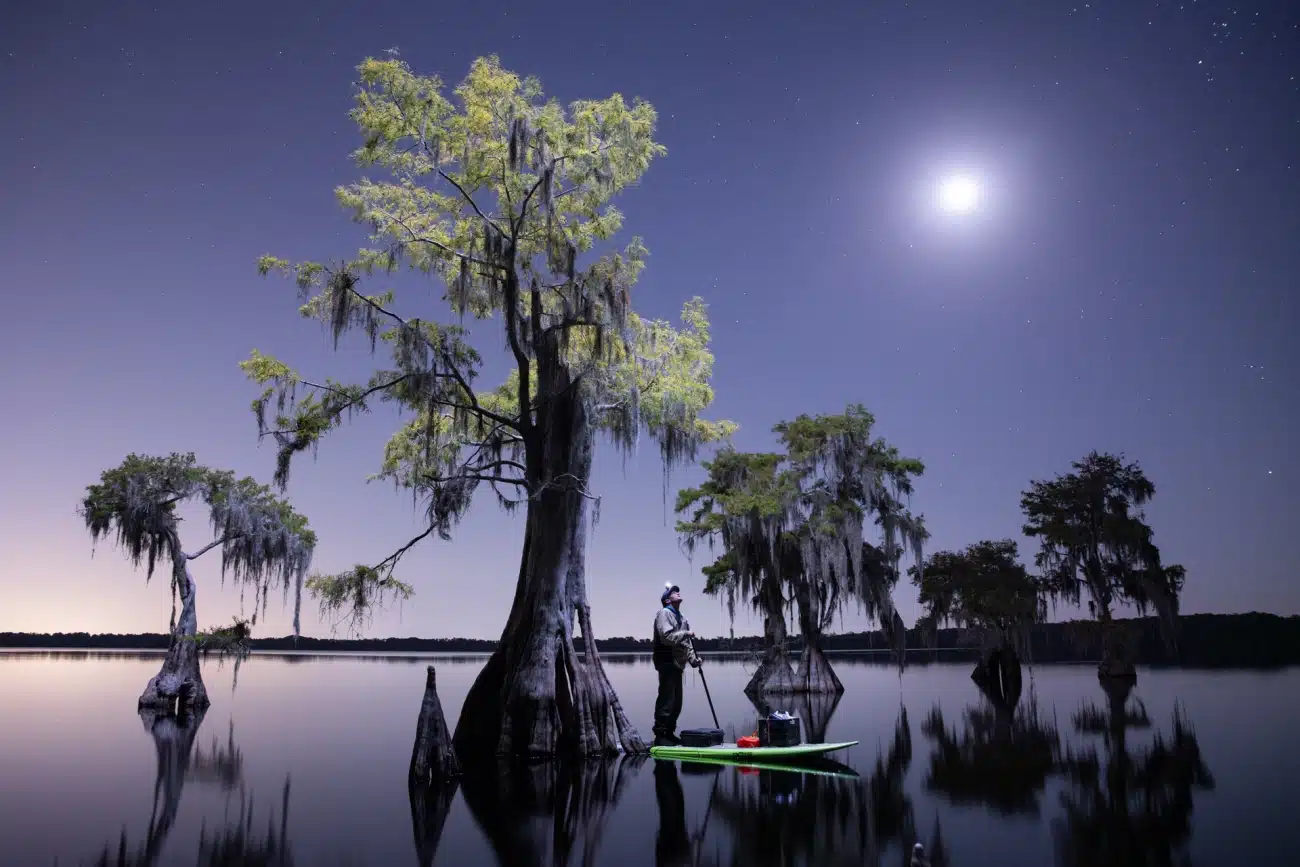 Moonlight paddle among cypress trees in the Everglades