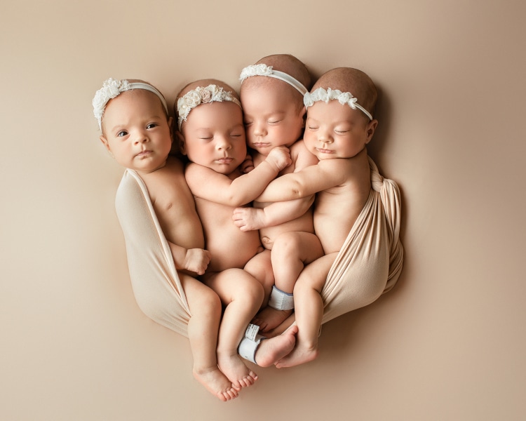 Baby quadruplets cuddled up