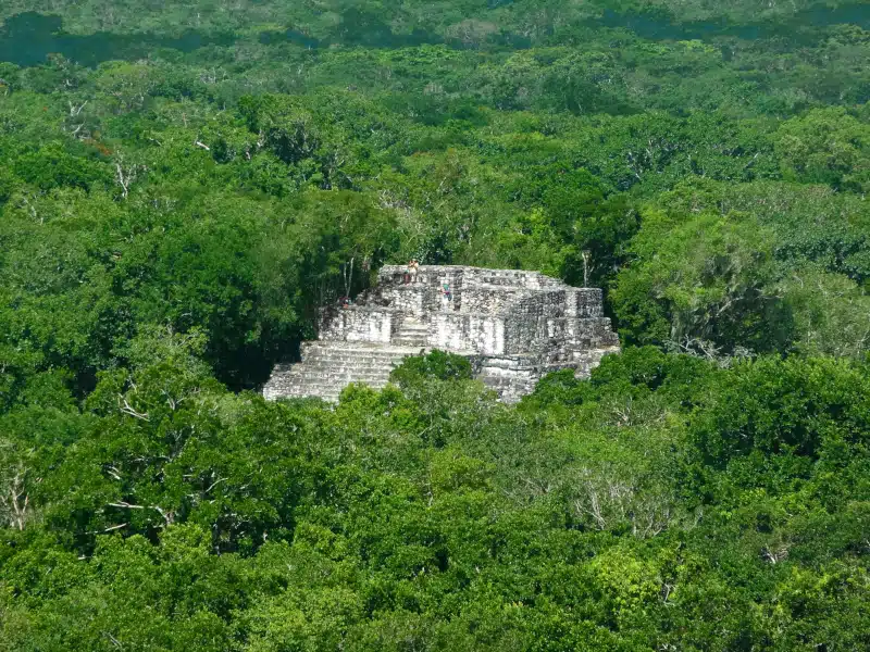 Mayan temple at Calakmul