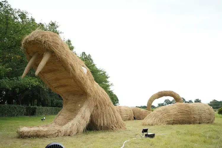 Giant Snake straw sculpture in Wara art festival