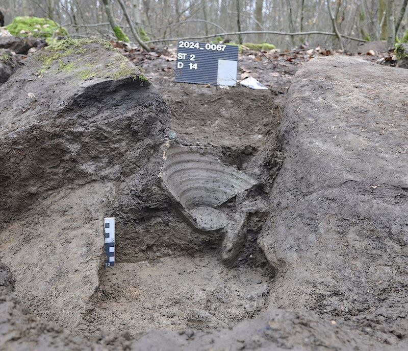 Hoard of Roman coins discovered in Germany