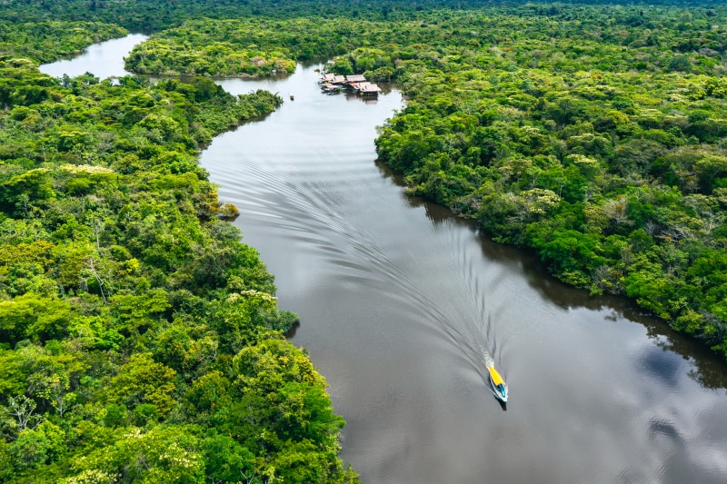 Boat on a river in the Amazon forest