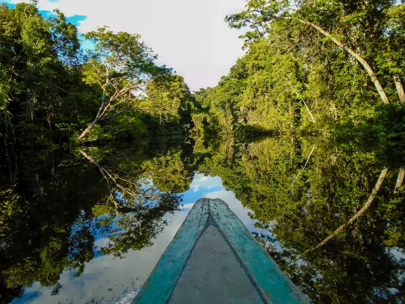 Boat on a river in the Amazon forest