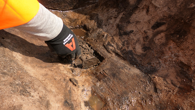 Wessex Archaeology Discover Bronze Age Wooden Spade