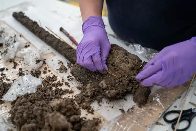 Wessex Archaeology Discover Bronze Age Wooden Spade