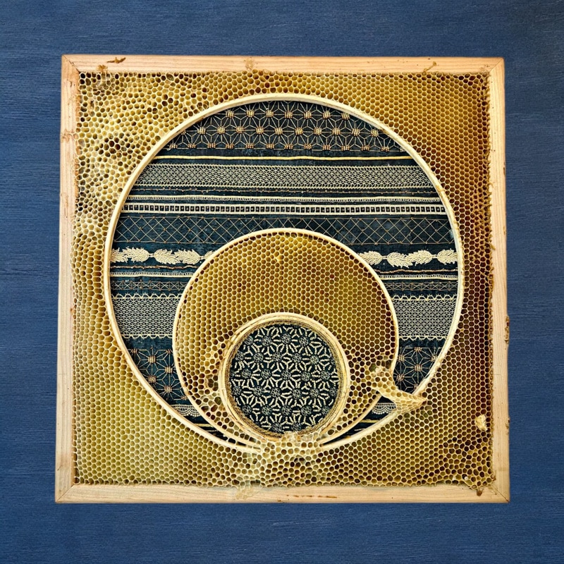 Ava Roth embroidery encaustic honeybee beeswax artwork