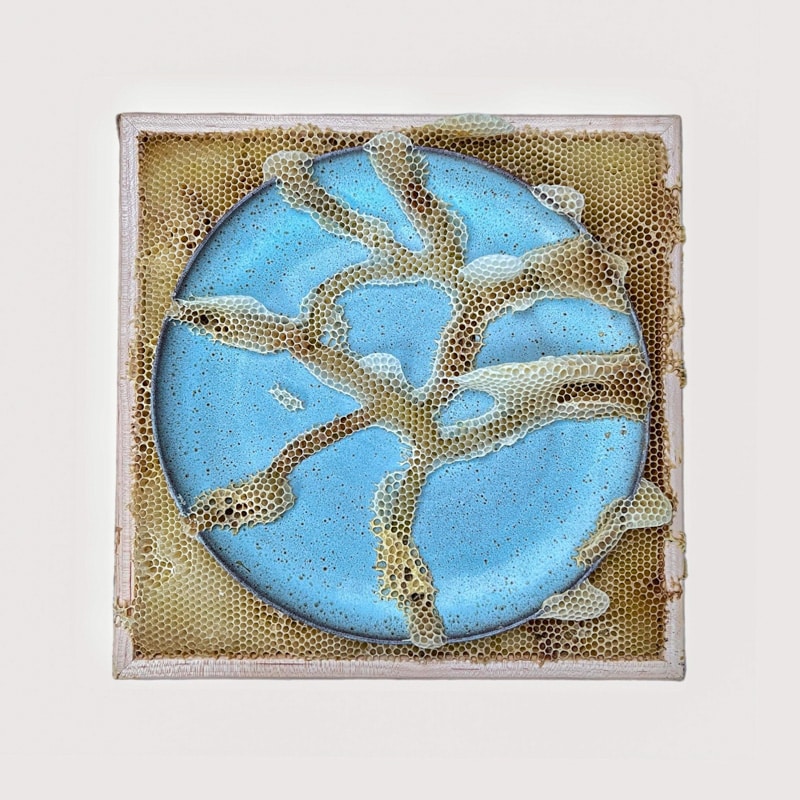 Ava Roth embroidery encaustic honeybee beeswax artwork